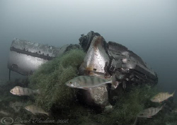 Car wreck. Capernwray. S5 PRO, 10.5mm. by Derek Haslam 